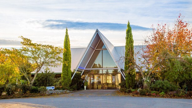 Un edificio moderno con fachada de vidrio triangular, rodeado de árboles y un área de acceso pavimentada.