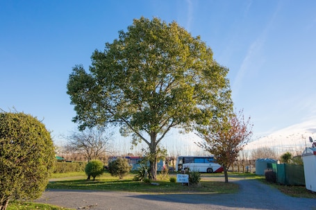 Parco della struttura