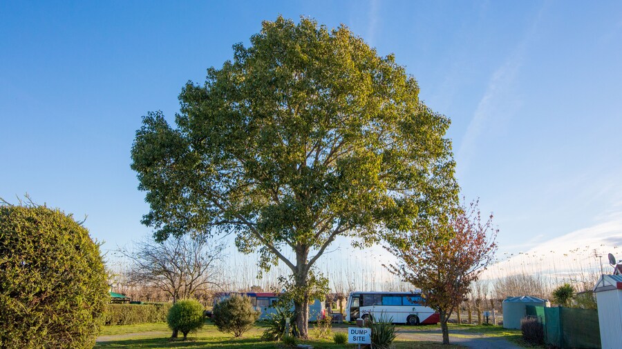 Rangiora Eco Holiday Park
