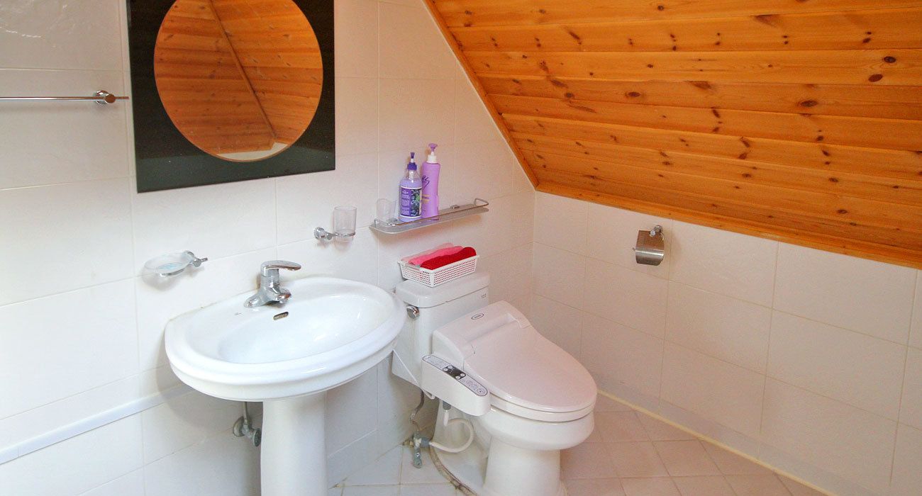 A bathroom with a white sink, toilet, and a wooden ceiling. There are shelves with toiletries and a mirror above the sink.