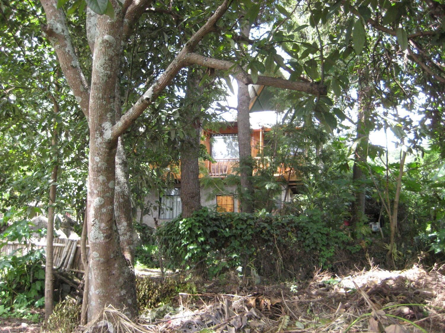 Khuôn viên nơi lưu trú