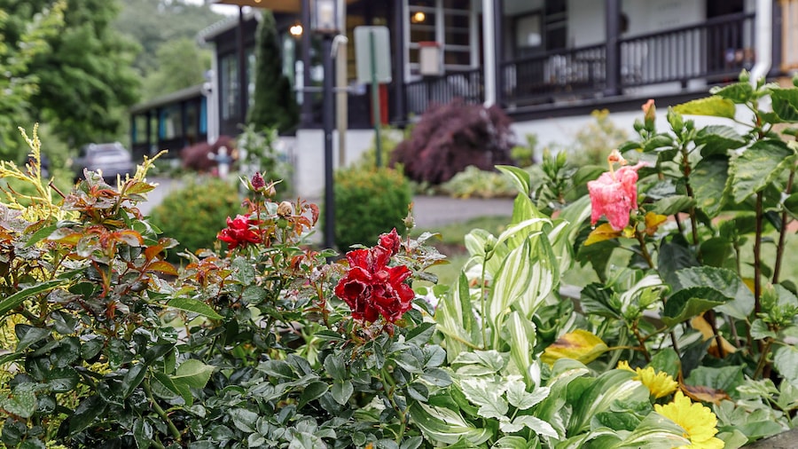 The Inn At Warm Springs