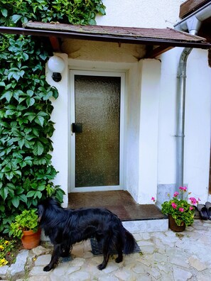 Détail de l’extérieur