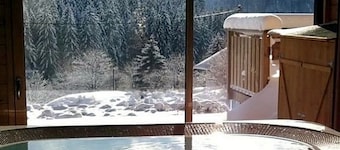 Chalet Gérardmer-Xonrupt-Longemer plein sud 10 personnes Wifi SPA Jacuzzi Sauna