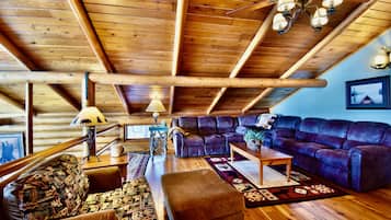 Smart TV, fireplace, DVD player, books
