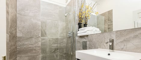 Combined shower/tub, hair dryer, towels, shampoo