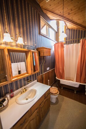 Combined shower/tub, hair dryer, towels, soap