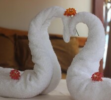 Sistema de insonorización y internet por cable gratis