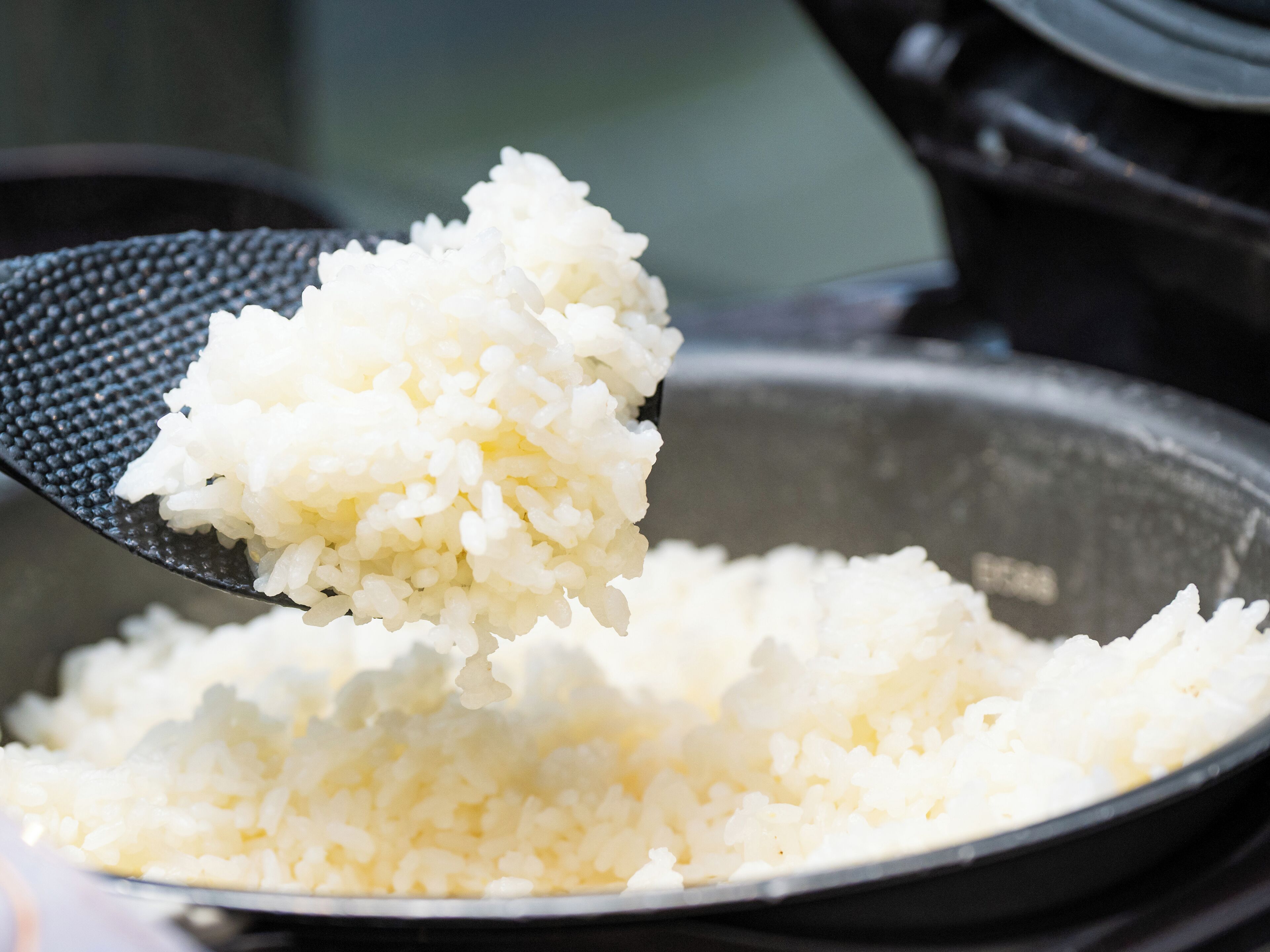 daily self-service breakfast for a fee