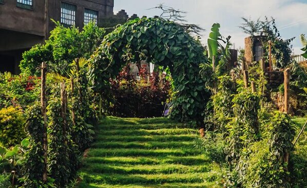 Un sentier de jardin bordé d’une arche verdoyante, elle-même entourée d’une végétation luxuriante.