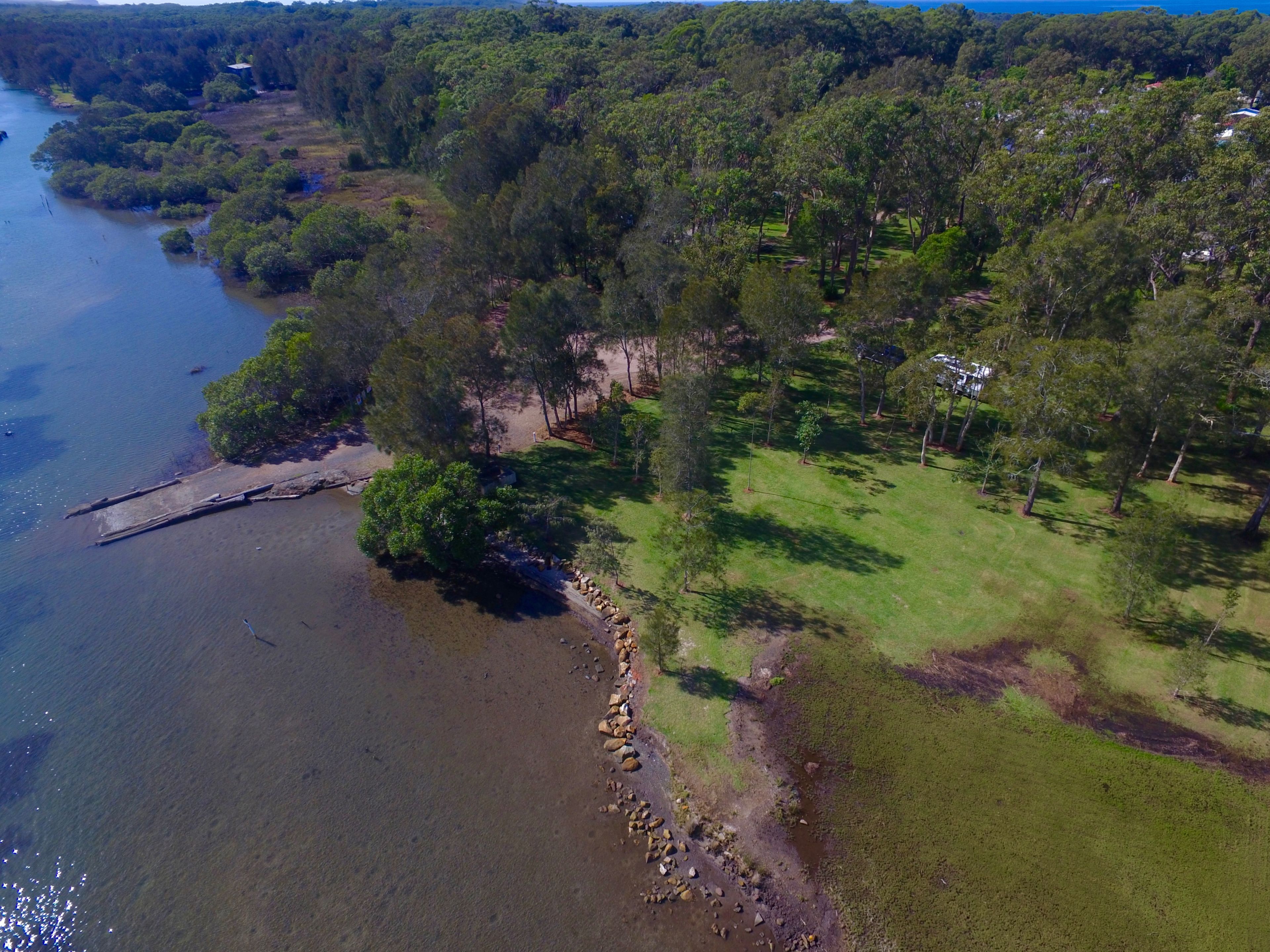 An aerial view of a coastal area with a river, dense forest, and a grassy area with scattered trees.