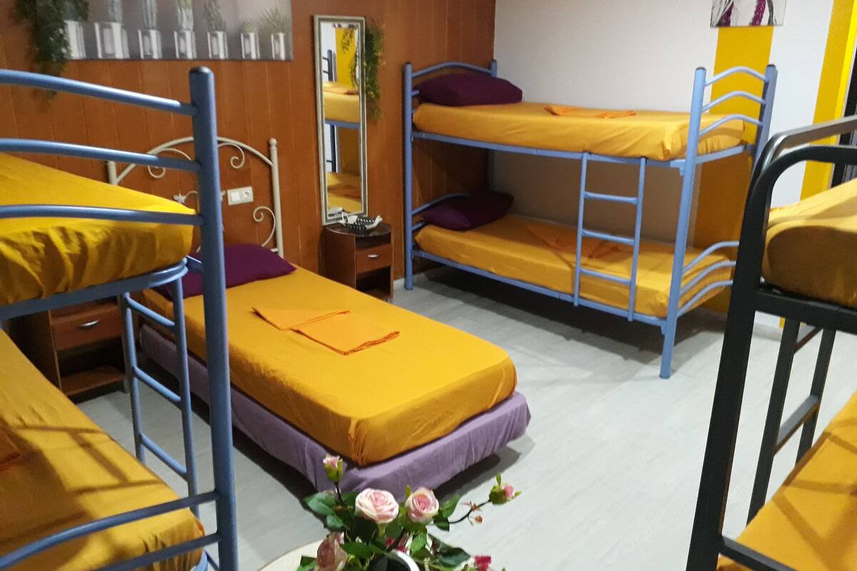 A dormitory room with bunk beds, a small bedside table, a mirror, and a potted plant.