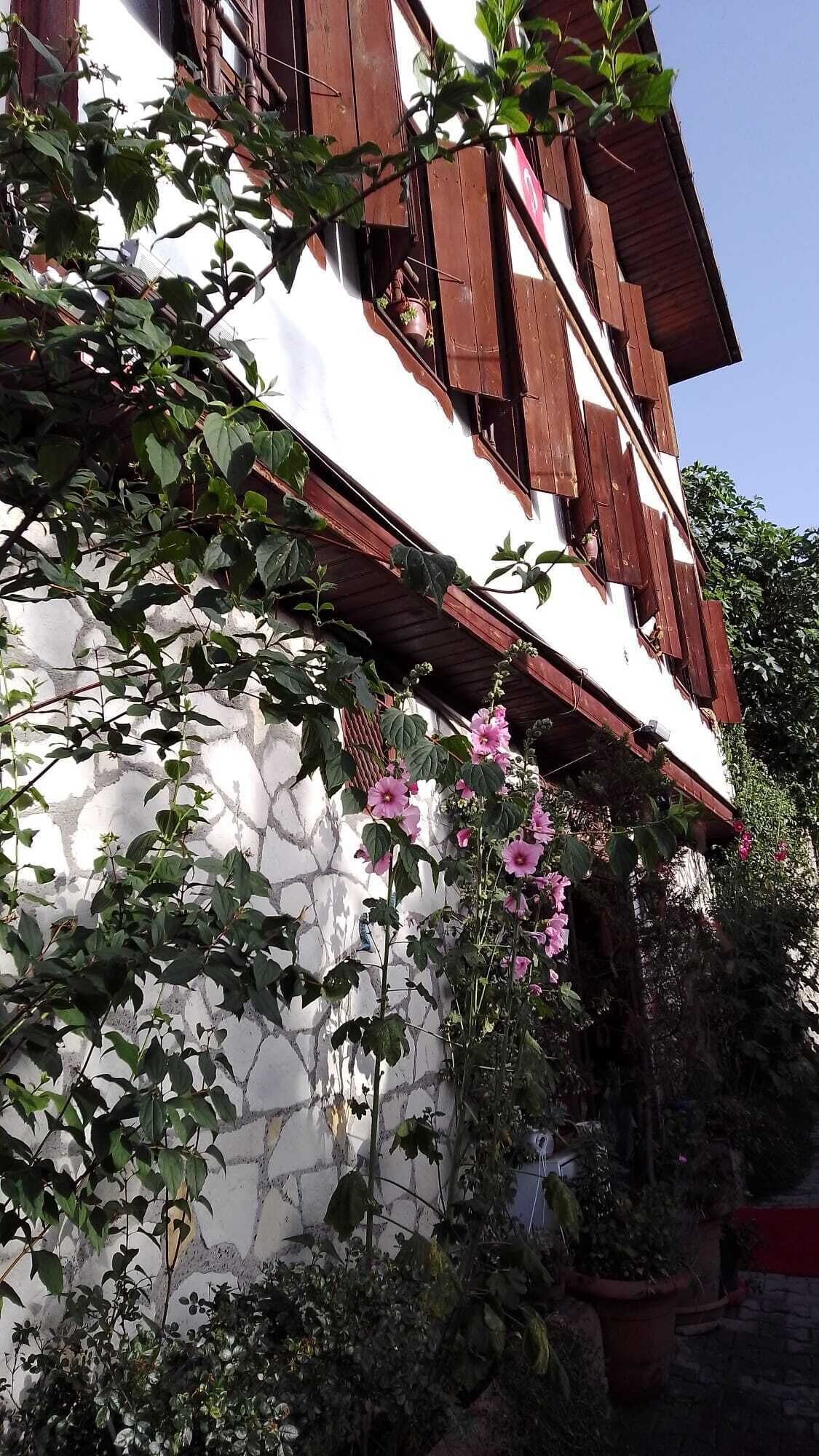 Ngoại thất
