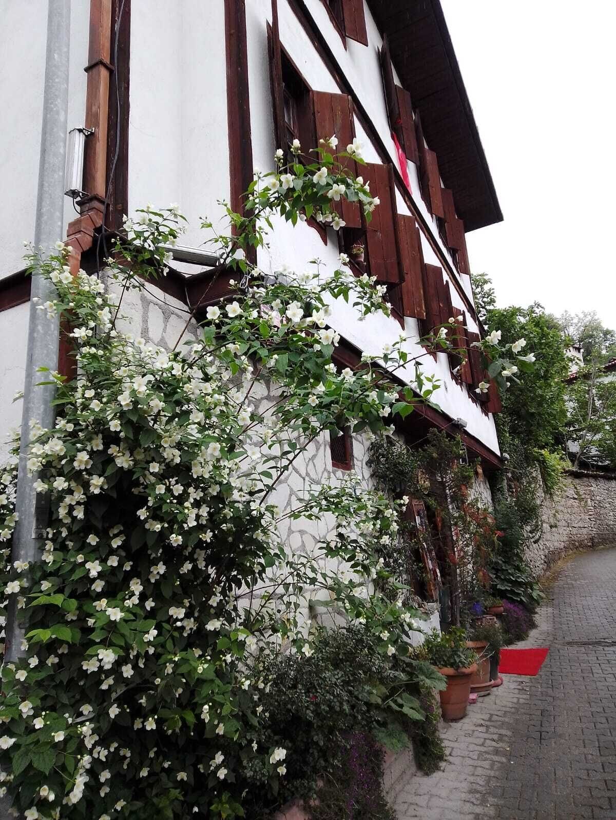 บริเวณภายนอก