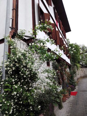 A traditional building with a white facade and dark wooden shutters, featuring a lush climbing plant with white flowers. - Turgut Reis Konak Otel (Safranbolu)