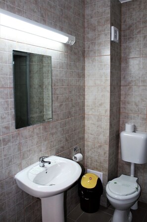 A bathroom with a white sink, mirror, toilet, and trash bin. - Hanul lui Bogdan (Faget)