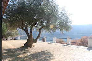 Property grounds - Alojamiento Rural Lago de Andalucía - Hostel (Iznajar)