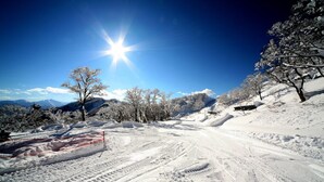 Un paisaje nevado con cielo despejado y un sol brillante.