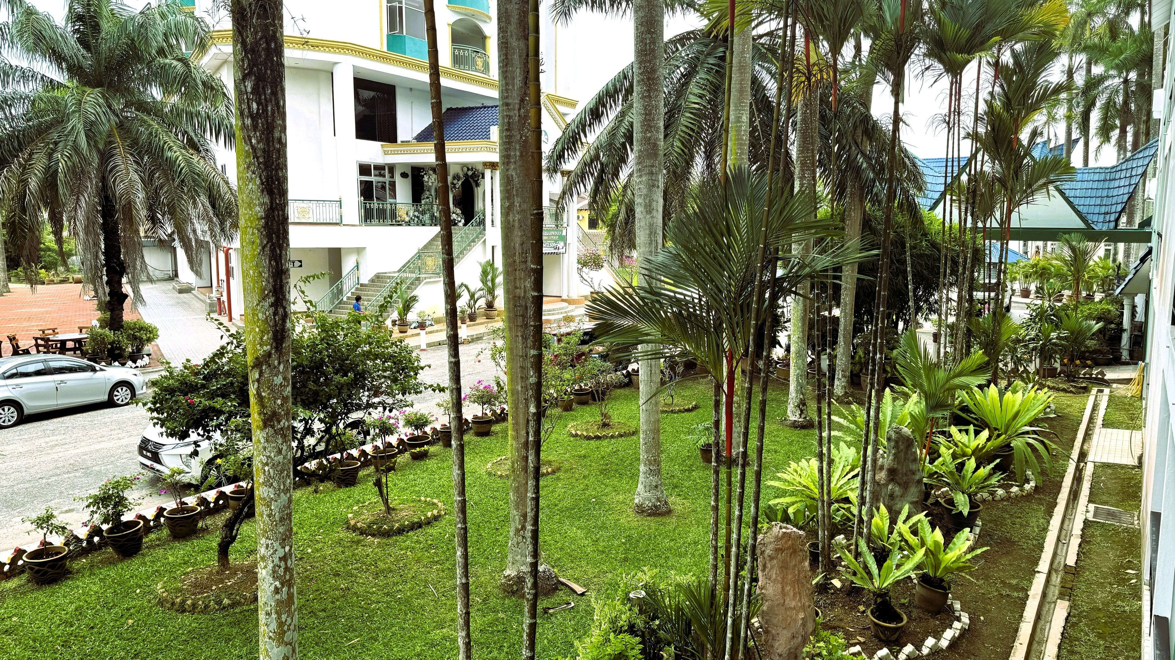 Un patio con palmeras, un coche y un edificio de techo azul.