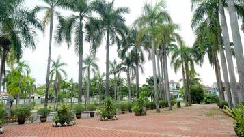 A paved courtyard with palm trees and potted plants.