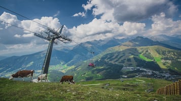 A mountain landscape with a cable car, cows grazing, and a village in the valley.