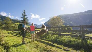 Two people standing on a grassy field with a wooden fence and mountains in the background.