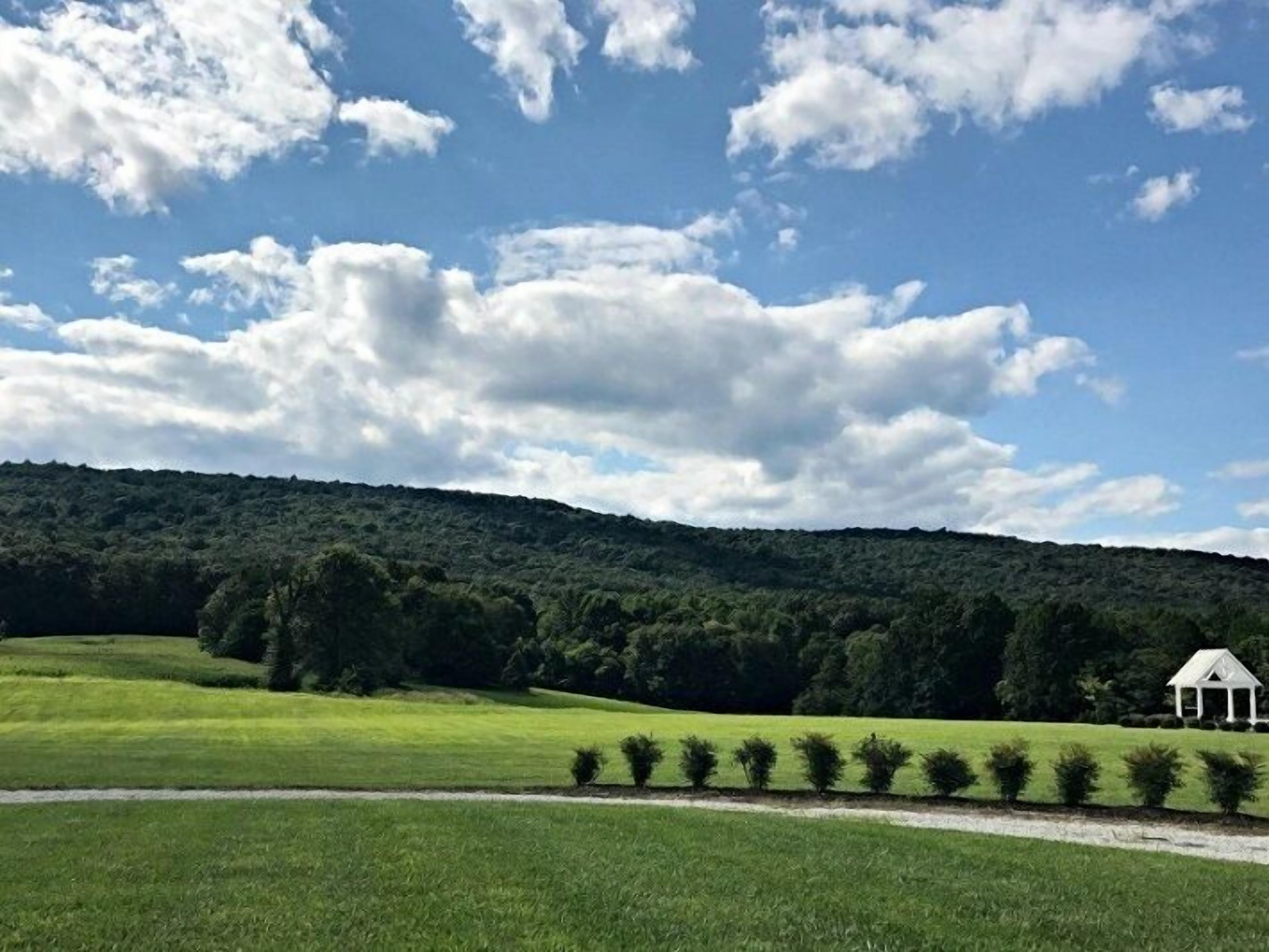 A grassy field with a white gazebo and a forested hill in the background.