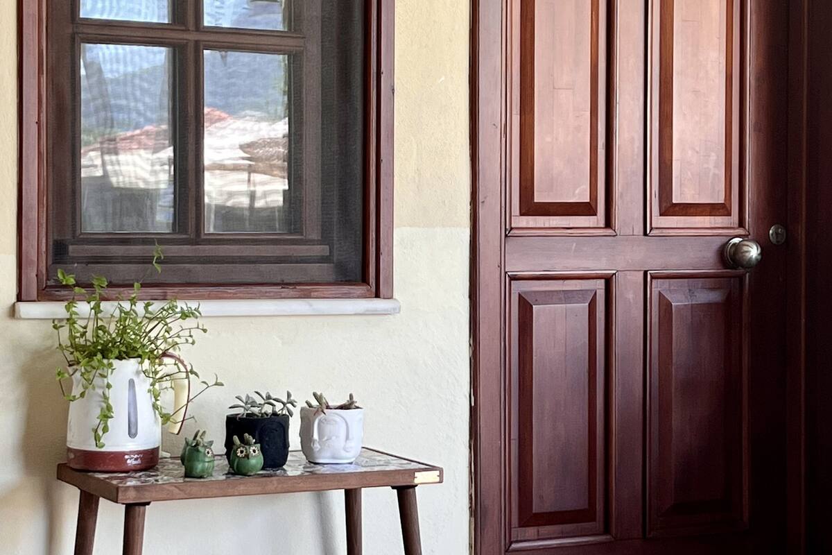 A wooden door, a window with a view, and a small table with potted plants and a watering can.