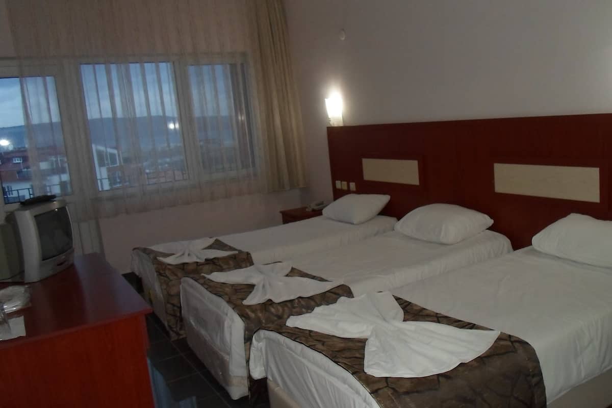 Standard Triple Room | Desk, iron/ironing board, free WiFi
