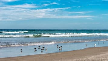 Condo, 1 Bedroom | Beach | Beach nearby