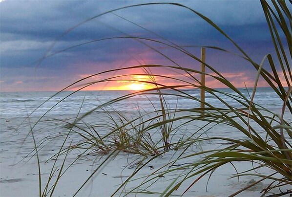 A beach scene with grass in the foreground and a sunset in the background. - Coconut Palms Townhome 2 Bedroom Townhouse by RedAwning (New Smyrna Beach)