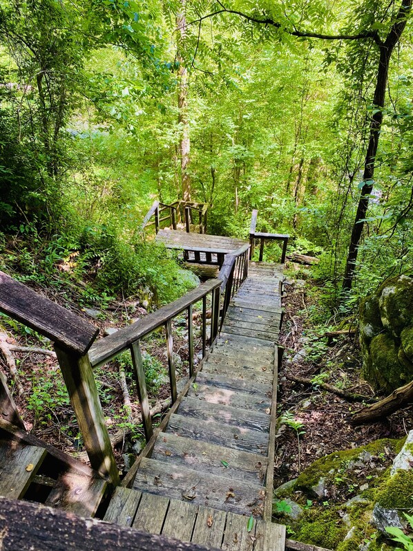 Cabin, 1 Bedroom | Property grounds