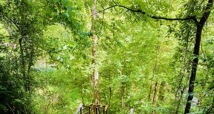 Riverview 1 Bedroom Cabin by RedAwning