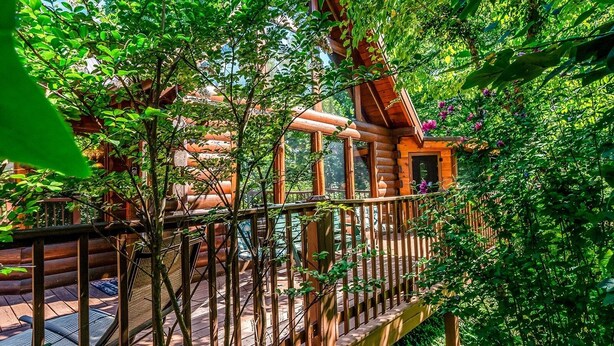 Eine Holzhütte mit einer Veranda, umgeben von üppigem Grün.