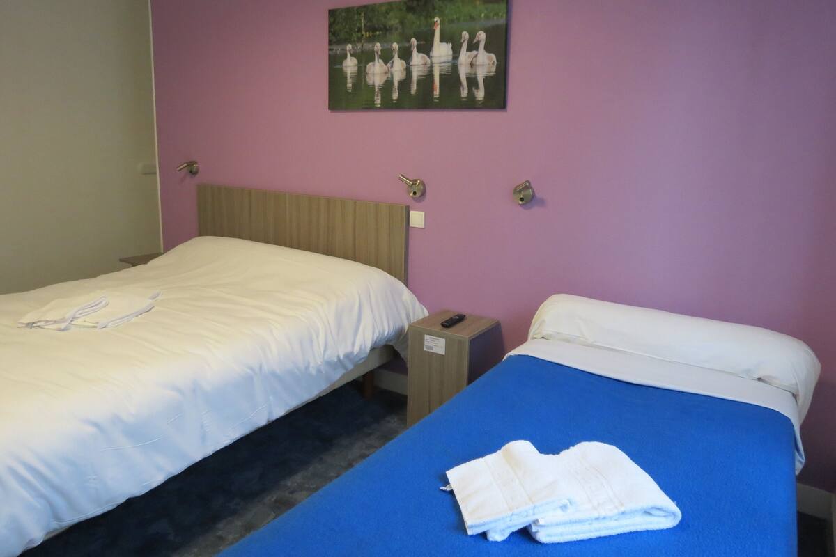 A hotel room with two beds, one with a blue bedspread and the other with a white bedspread. There is a painting of swans on the wall above the beds.