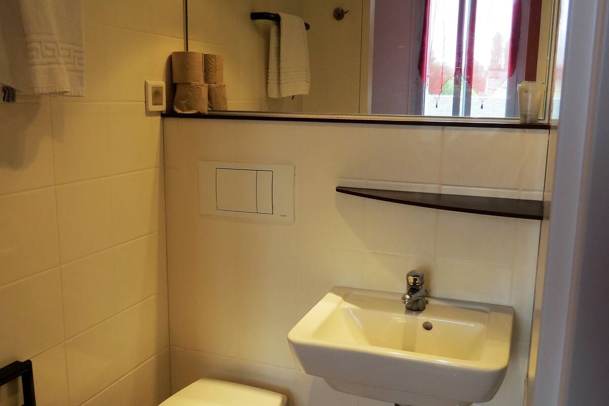 double room | bathroom | shower, rainfall showerhead, free toiletries, towels