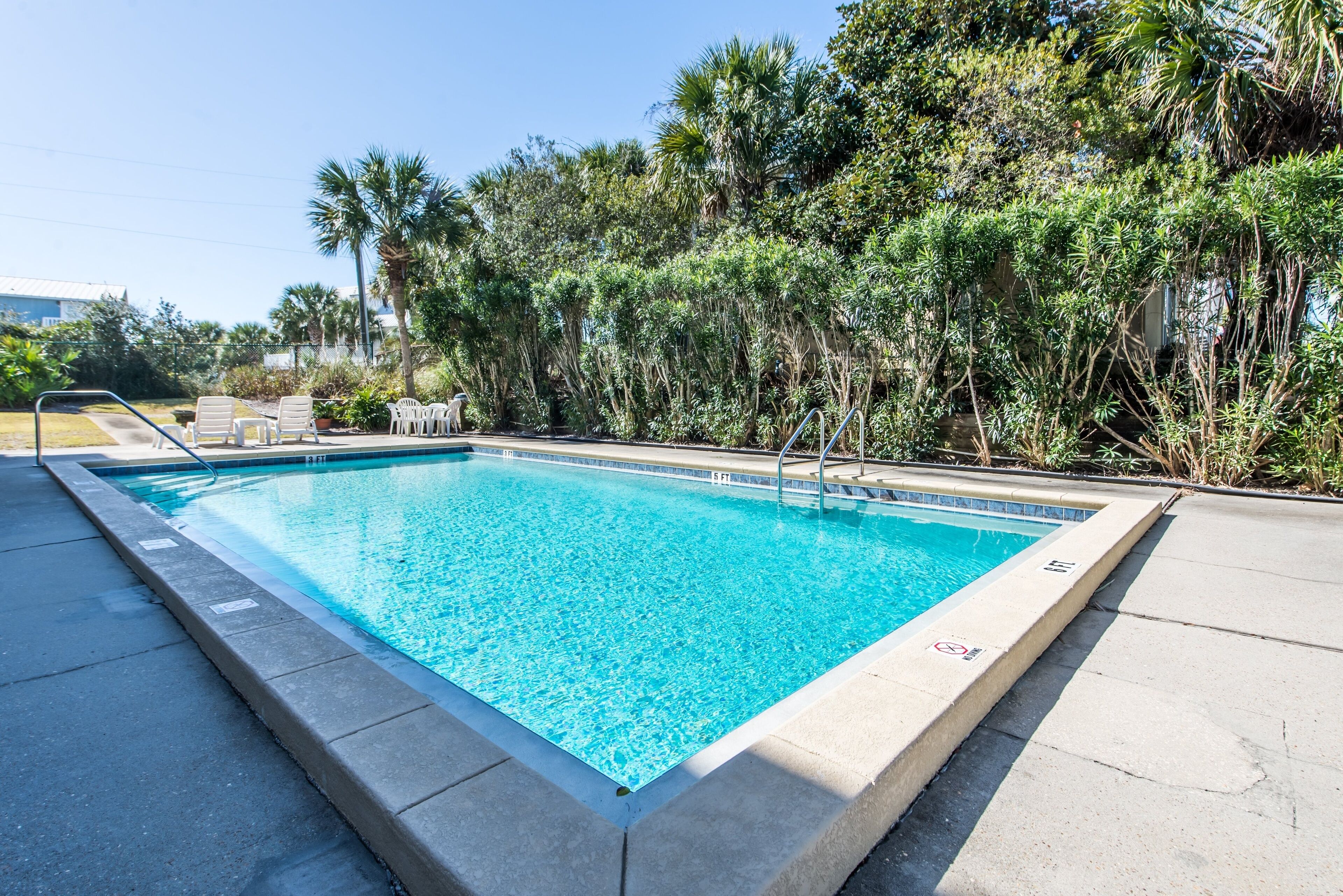Piscina rectangular con agua azul cristalina, rodeada por una solana de hormigón y palmeras.