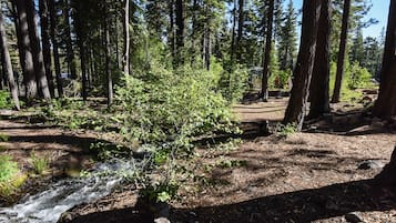 Kamar, 1 kamar tidur | Halaman properti