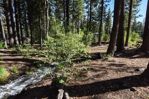 Room, 1 Bedroom | Property grounds