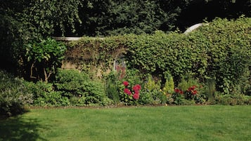 Jardín