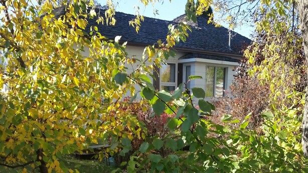 A residential area with a house, trees, and a lawn covered with fallen leaves. - Just You in Neepawa Vacation Home (Neepawa)