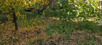 Just You in Neepawa Vacation Home