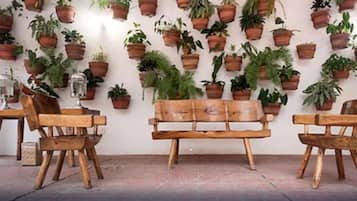 A room with a wooden bench, two wooden chairs, and a wall decorated with numerous potted plants.