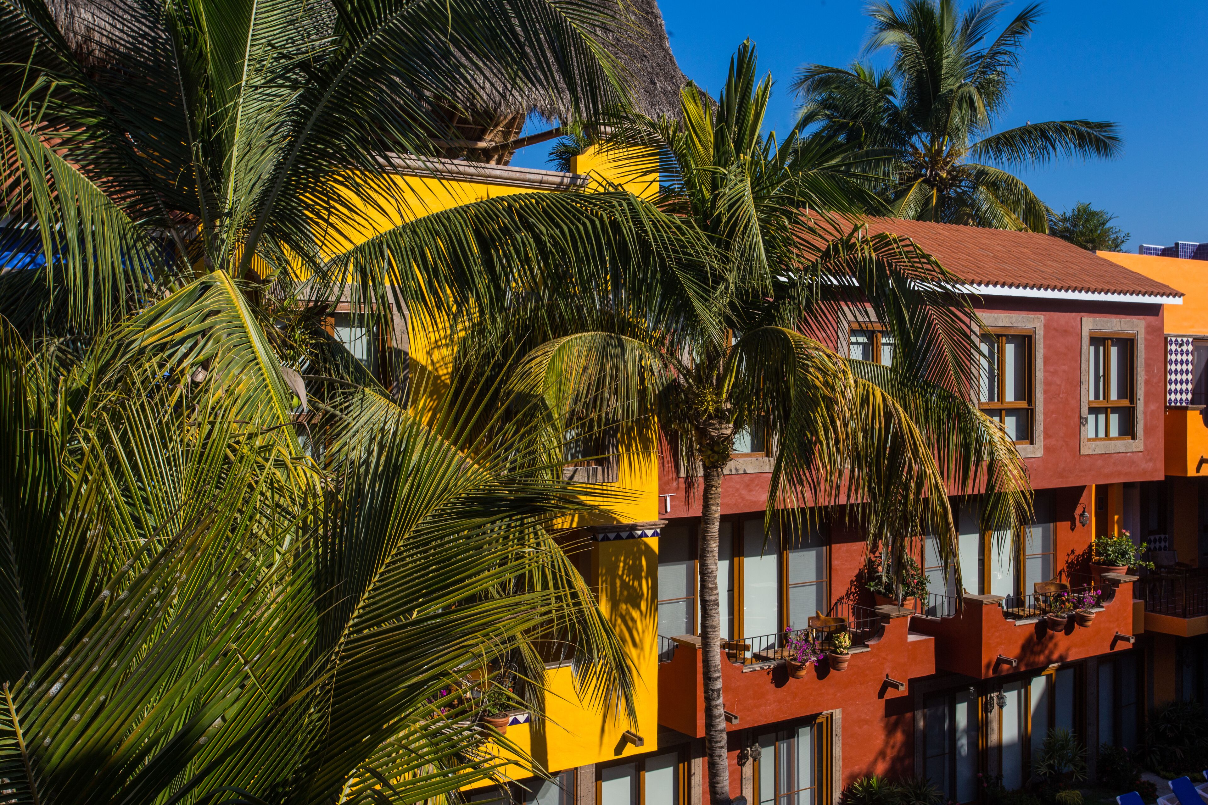 Un edificio de varios pisos con balcones, rodeado de palmeras.