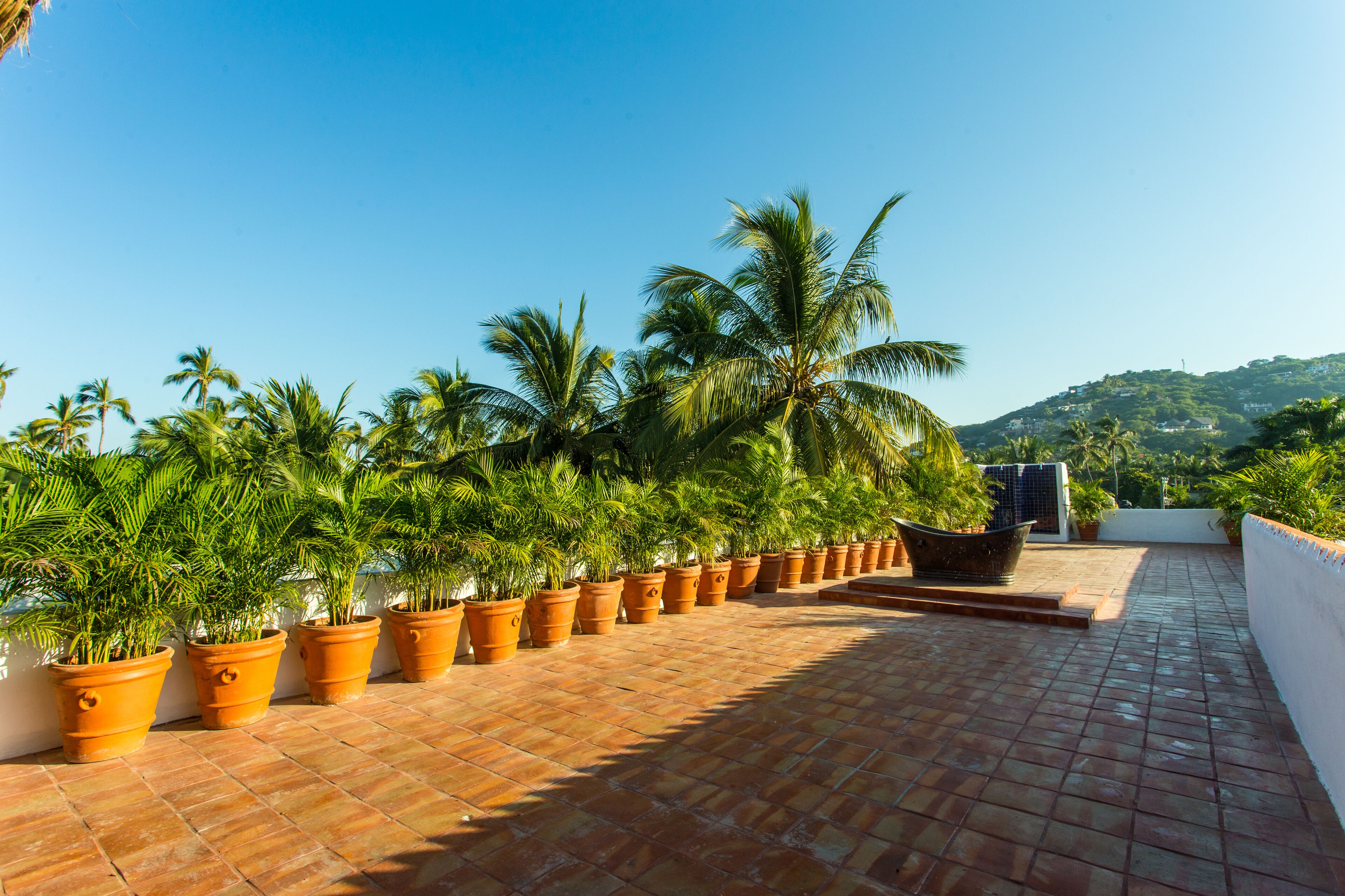 A rooftop terrace with terracotta planters arranged in a row, overlooking a hillside with palm trees and a clear blue sky.