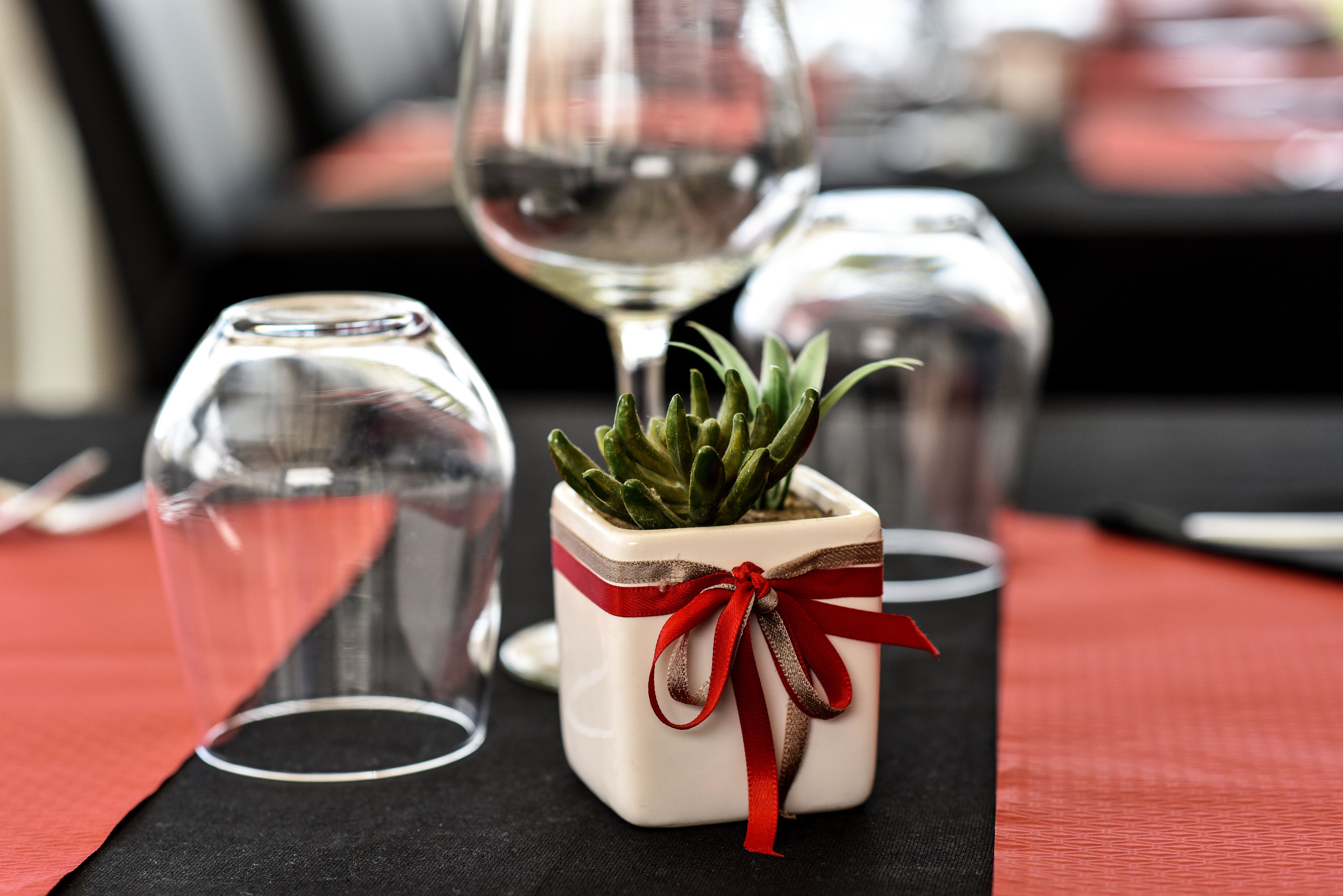 A table setting with a small potted succulent and a wine glass.