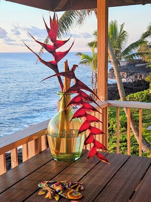 Property grounds - 50' from the ocean, full ocean views from bedrooms & lanai (Pohoa)