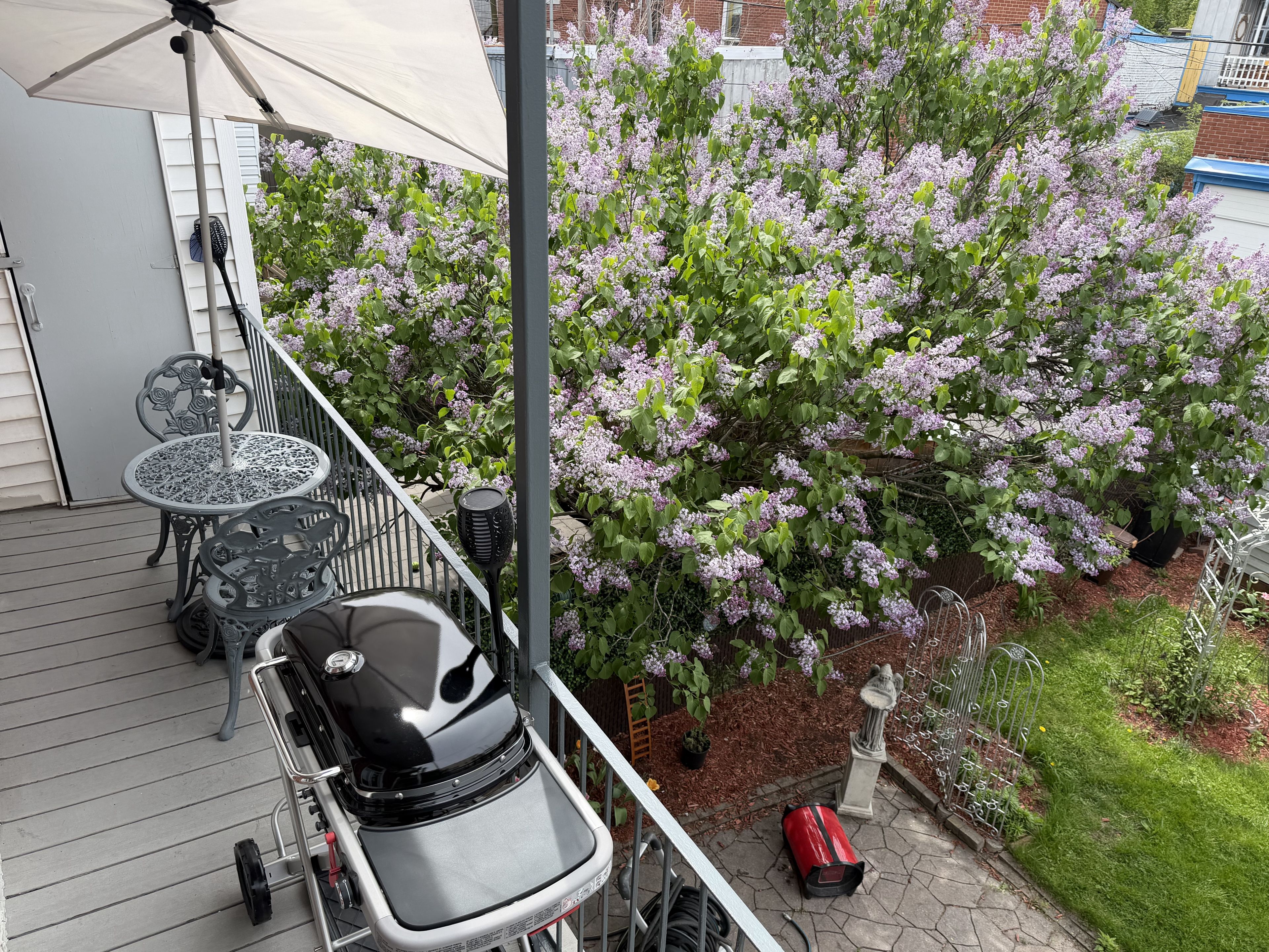 Un patio con mobili da esterno, un barbecue e un ciliegio in fiore.
