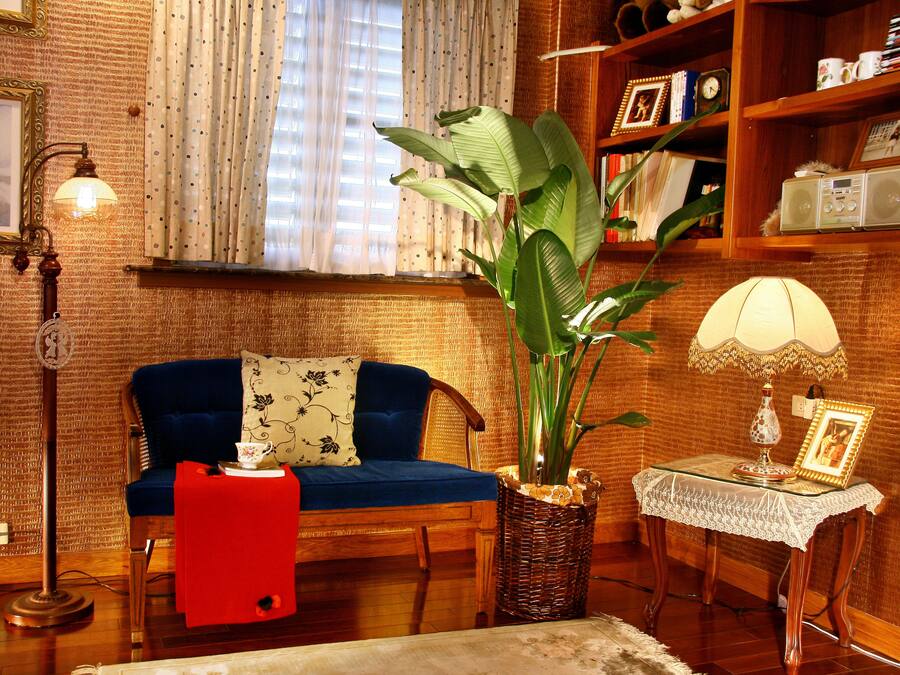 Uma sala de estar aconchegante com um sofá azul, um cobertor vermelho, uma planta grande, uma mesa com abajur e uma estante com diversos objetos.