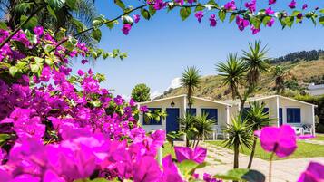 Un hotel con facciata bianca e persiane blu, immerso nel verde e decorato con fiori di bouganvillea rosa.